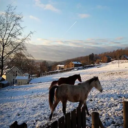 Charming Ardennes Getaway, Cleaning Included Vakantiehuis *
