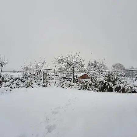 Gorgeous In With Garden, Cleaning Included *
